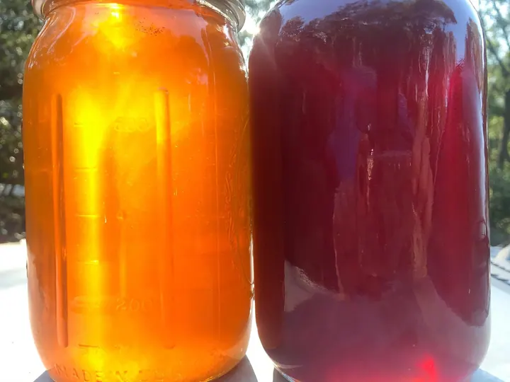 Two jars of amber wildflower honey